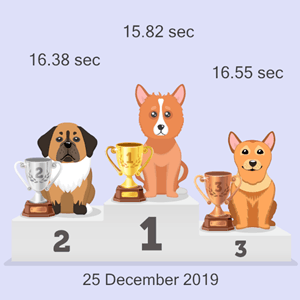online dog race results