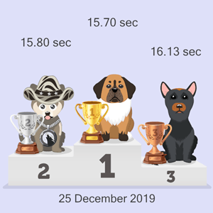 cryptocurrency canine racing