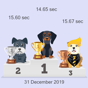 Bitcoin doggy racing results