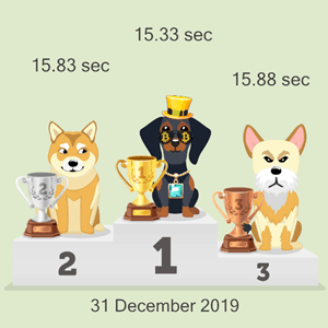 Bitcoin dog race podium