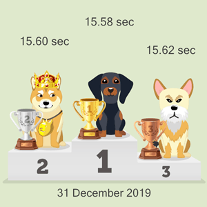 online doggy racing