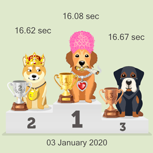 crypto doggy race podium