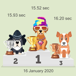 Bitcoin canine racing podium