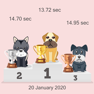 cryptocurrency dog racing podium