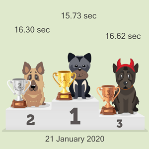 online canine race results