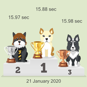 cryptocurrency dog racing