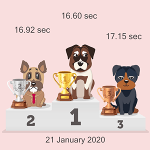 Bitcoin canine racing results