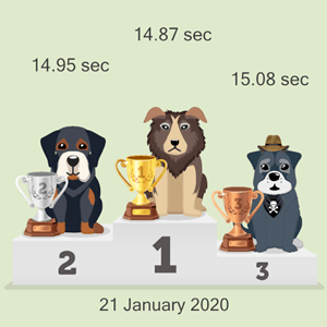 cryptocurrency pet race