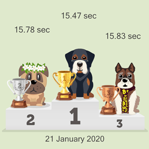 Bitcoin canine racing podium