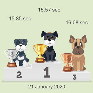 online doggy racing podium