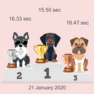 Bitcoin dog racing podium