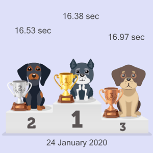 crypto doggy race podium