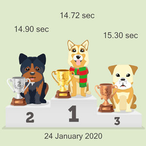virtual dog race