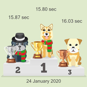 online pet race results