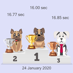 crypto dog race photo