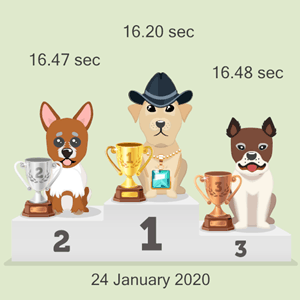 Bitcoin dog race photo