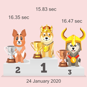 Bitcoin doggy racing podium