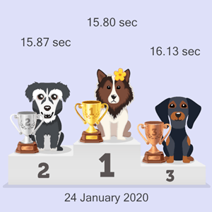 cryptocurrency doggy racing results