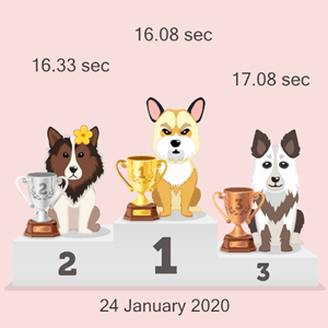 virtual dog race