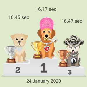 virtual dog racing