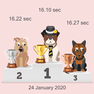 online doggy racing