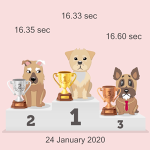 online dog race results