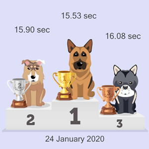crypto dog race podium
