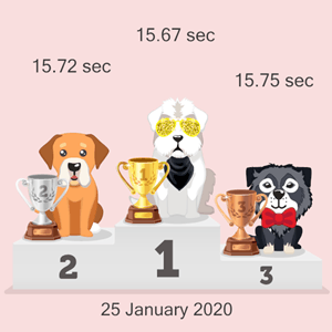 Bitcoin pet racing results