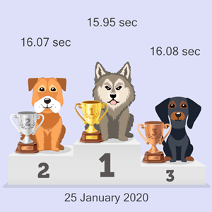 virtual canine racing