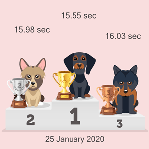 cryptocurrency doggy race