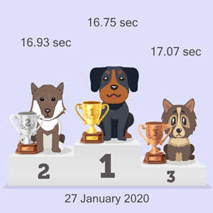 virtual doggy race