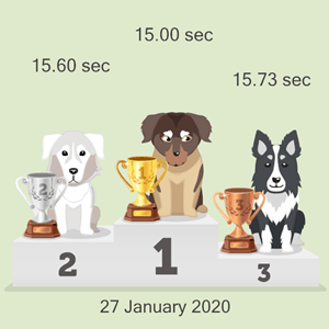 virtual canine race