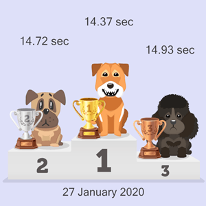 cryptocurrency doggy race
