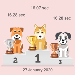 crypto canine race