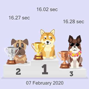 Bitcoin dog racing podium