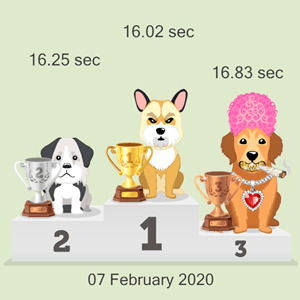 online doggy race results