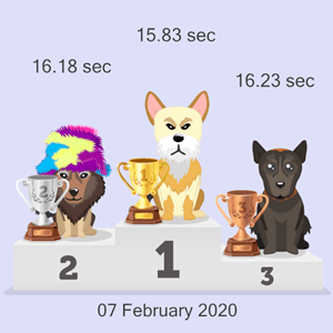 Bitcoin dog race
