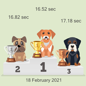 online dog racing