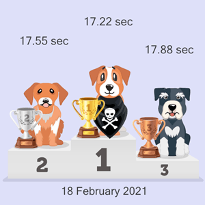 Bitcoin dog race results