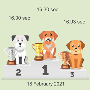 virtual canine race results