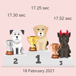 online dog racing podium