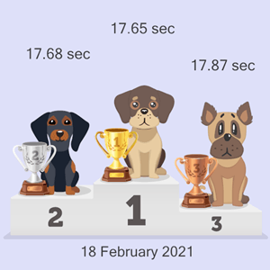 cryptocurrency doggy racing podium