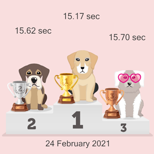 crypto dog racing results